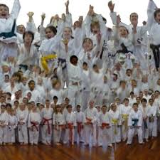 Image result for Burnley Wado Ryu Karate Club