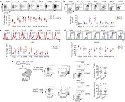 Image result for %D0%B6%D0