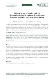 Attēlu rezultāti vaicājumam “Grimmia muehlenbeckii sporophyte”