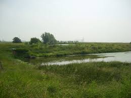 Image result for Medway Airsports Club