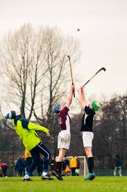 Image result for World of Shinty