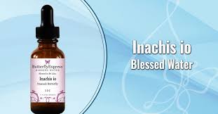 Attēlu rezultāti vaicājumam “Inachis io”