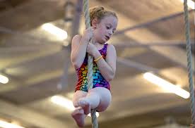 Image result for Tessaro Gymnastics Club