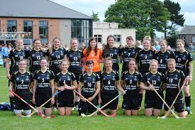 Image result for World of Shinty