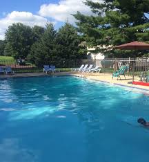 Image result for Ledbury & District Amateur Swimming Club