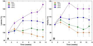 Attēlu rezultāti vaicājumam “Saussurea esthonica leaf”