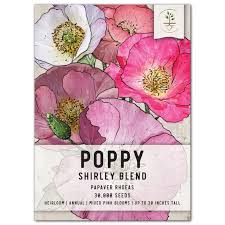 Image result for Papaver rhoeas 'Shirley'