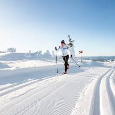 Image result for Scandinavian slope and cross country skiing