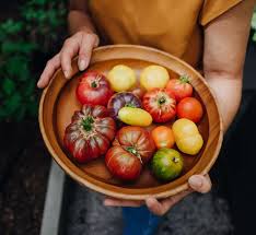 Bildergebnis für tomaten