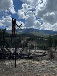 Image result for Assheton Bowmen Archery Club