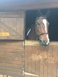 Image result for Greenways Riding Stable Lower Eashing