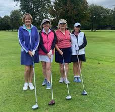 Image result for Betws-Y-Coed Golf Club