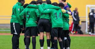 Image result for Ockley Acorns Junior F C