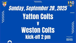 Image result for Yatton R F C