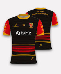 Image result for Moycarkey-Borris Gaa Club