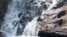 Image result for синхараджа