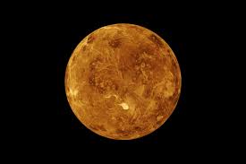 Image result for venus