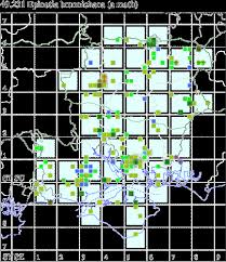 Attēlu rezultāti vaicājumam “Epinotia brunnichana”