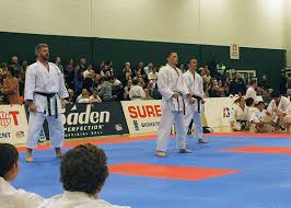 Image result for Backwell Karate