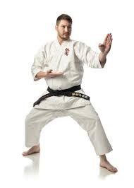 Image result for Intelligent Martial Arts