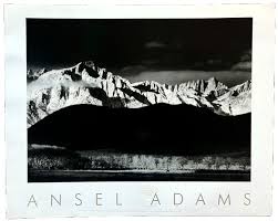 Image result for Ansel Adams Aspens New Mexico
