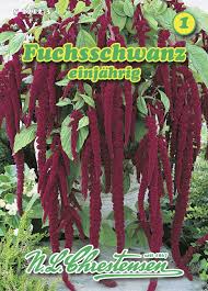 Image result for Fuchsschwanz