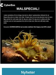 Image result for Malfoder