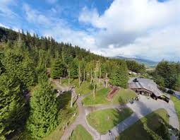 Image result for Go Ape! Whinlatter