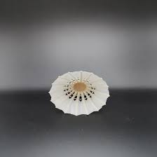 Image result for Shuttlecocks Badminton Club