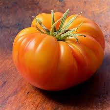 Afbeeldingsresultaat voor northern lights tomato