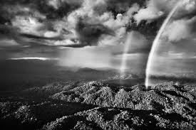 Image result for sebastiao salgado