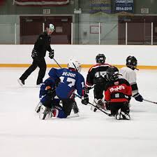 Image result for Cheam Hockey Club