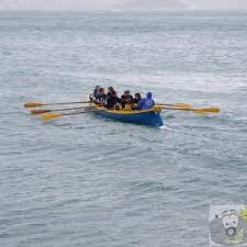 Image result for Zennor Gig Club (Penzance)