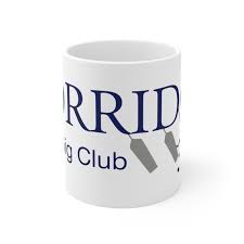 Image result for Torridge Pilot Gig Club