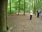 Beeches apparently produce an enzyme which inhibits plant growth under their - via Daymix