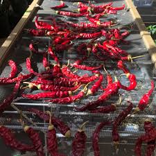 Afbeeldingsresultaat voor joe long cayenne hot pepper