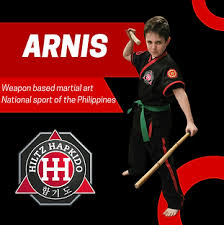 Image result for Sudbury Hapkido Club