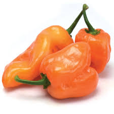 Afbeeldingsresultaat voor orange habanero hot pepper