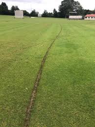 Image result for Peasedown-St-John Cc