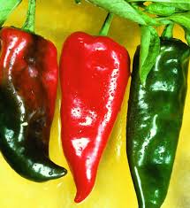 Afbeeldingsresultaat voor numex sandia hot pepper