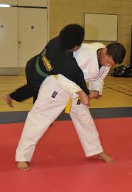 Image result for Hachidori ju-jitsu Martial Arts
