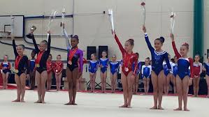 Image result for Appley Bridge Gymnastics Club