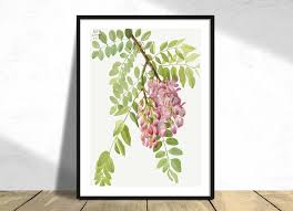 Attēlu rezultāti vaicājumam “Robinia neomexicana flower”