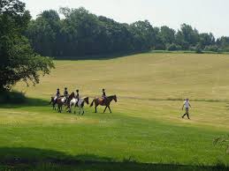 Image result for Shey Copse Riding Centre