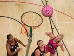 Image result for Sports Centre Netball