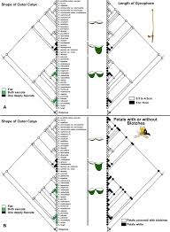 Image result for Orrell Red Triangle Cc