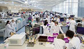 Image result for London Metropolitan University Octopush Club