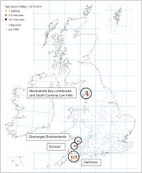 Attēlu rezultāti vaicājumam “Argynnis adippe underside”