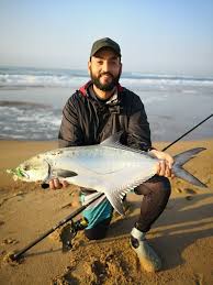 Image result for Lichia amia