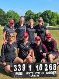 Image result for Peper Harow Cricket Club